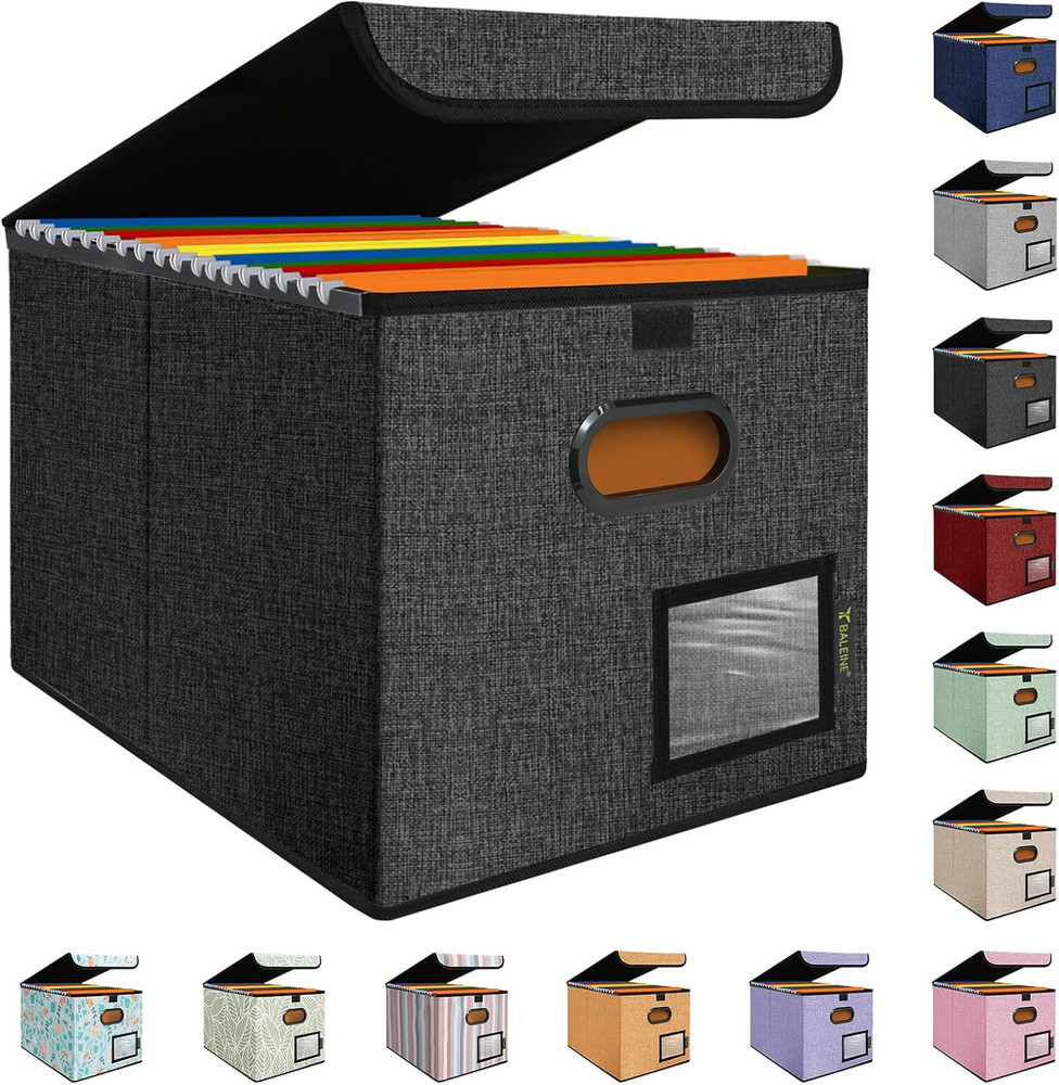 File Organizer Box with Lid, Collapsible File Folder Organizer with Plastic Slid