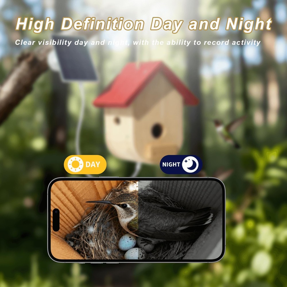 Hummingbird House with Solar Powered