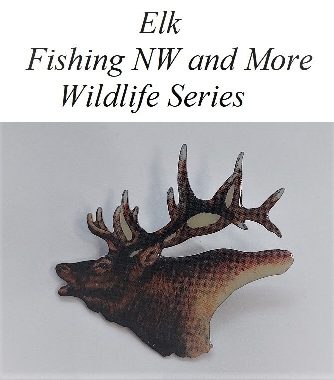 Elk - Wildlife - Series