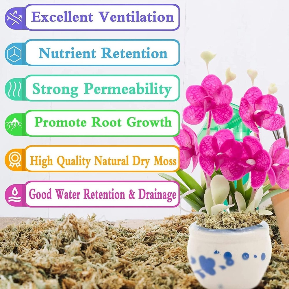 Natural Succulent Carnivorous Moss - 2.2lbs