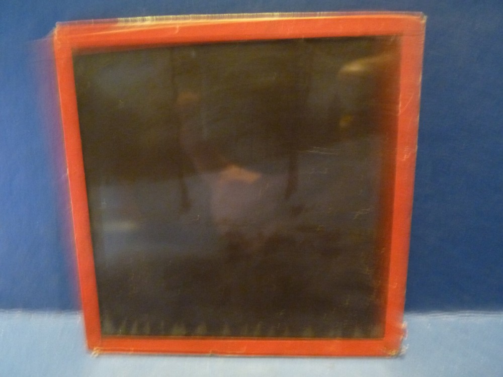 Magic Lantern Slide Ducks & Swan Snow Pond Antique