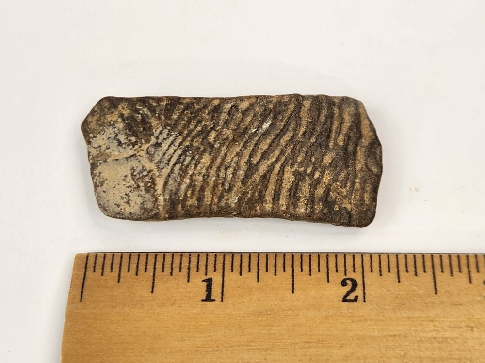 Cretaceous Turtle Shell Fossil - TX