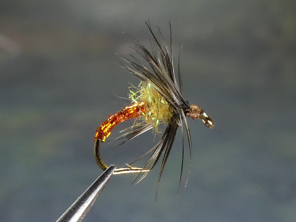 6 Flies - Orange Spider Bite