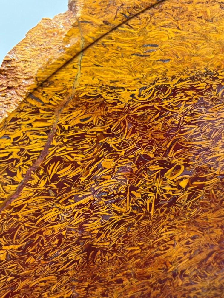 Script Stone Jasper Slab Cabbing Lapidary Collecting Combo Ship Avail