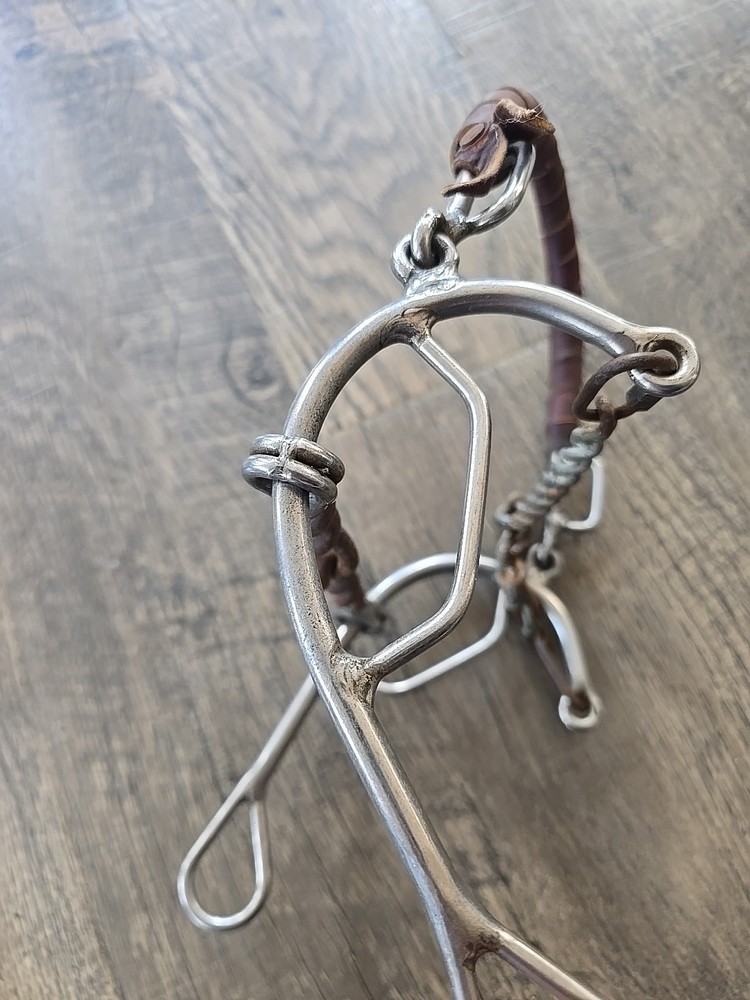 combination Horse Bit