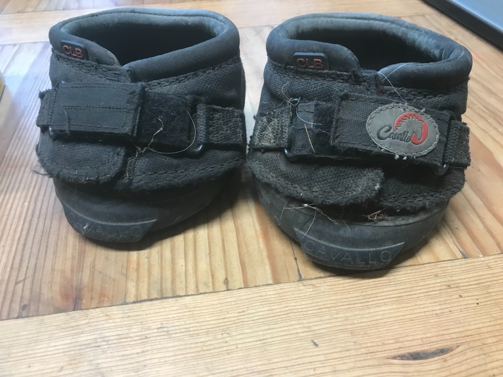cavallo horse boots size 4