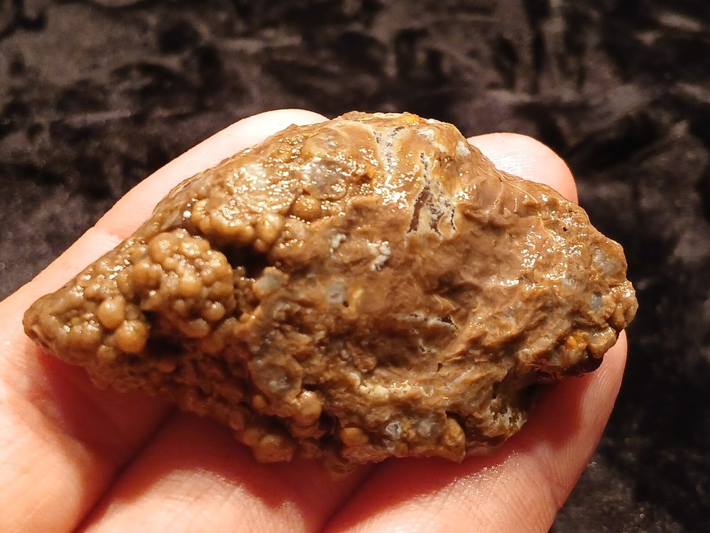 Richardson Ranch Waterline Agate Rough End
