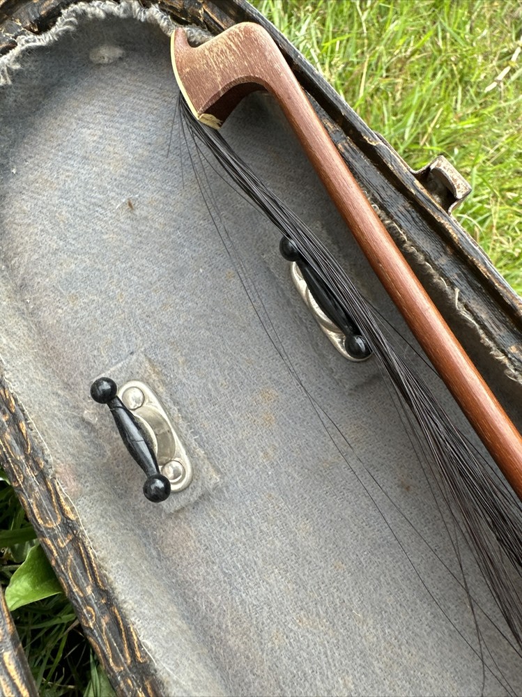 Violin Reghin Romania