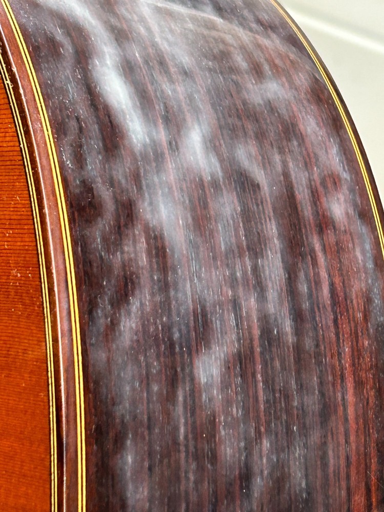 Francisco Esteve Manuel Adalid 9C/B Classical Guitar All Solid Wood Spain Made