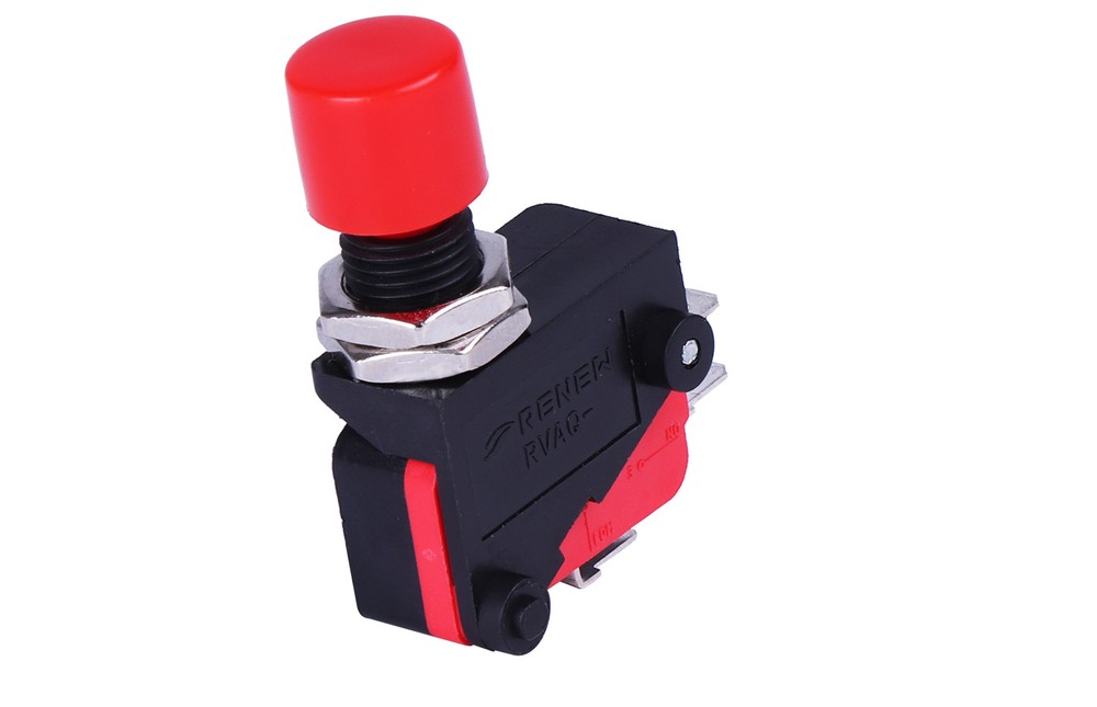 2 pcs RVAQ Micro Switch Push Button Limit Switch Screw Fixed Terminal RV Type