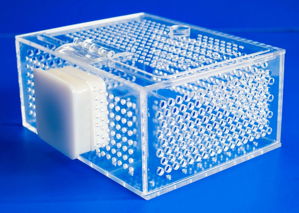 TL Reefs Mushroom Coral Acclimation Box
