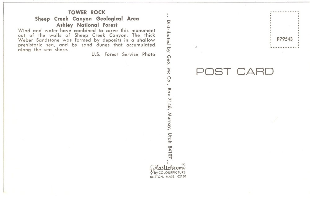 TOWER ROCK, ASHLEY NATIONAL FOREST - PC2719