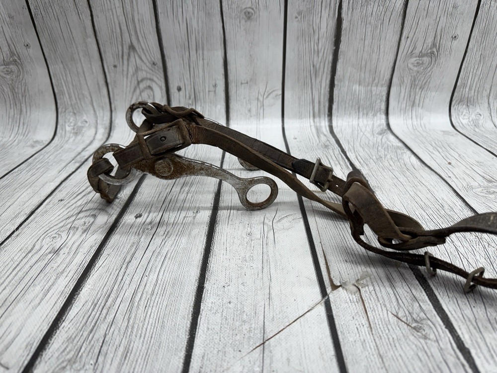 Vintage House Mouth Bit