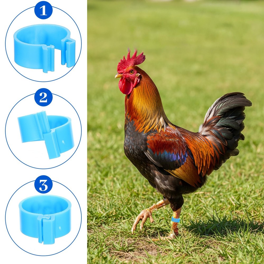 Macuezu 100 PCS Numbered Chicken Bands with Code, Plastic Colorful Chicken Le...