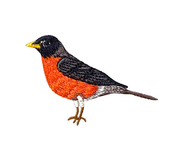 IRON ON PATCH  American Robin  3" wide x 2-1/2" tall