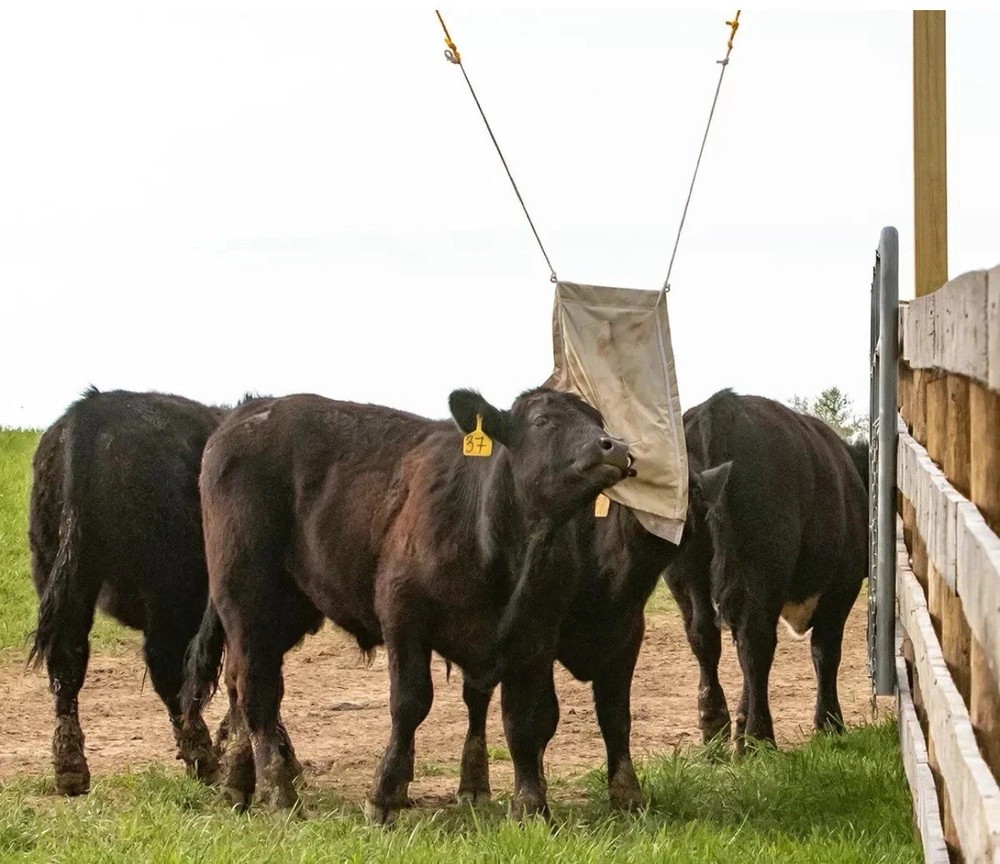 Python Dust Bag Kit A-Line Y•Tex