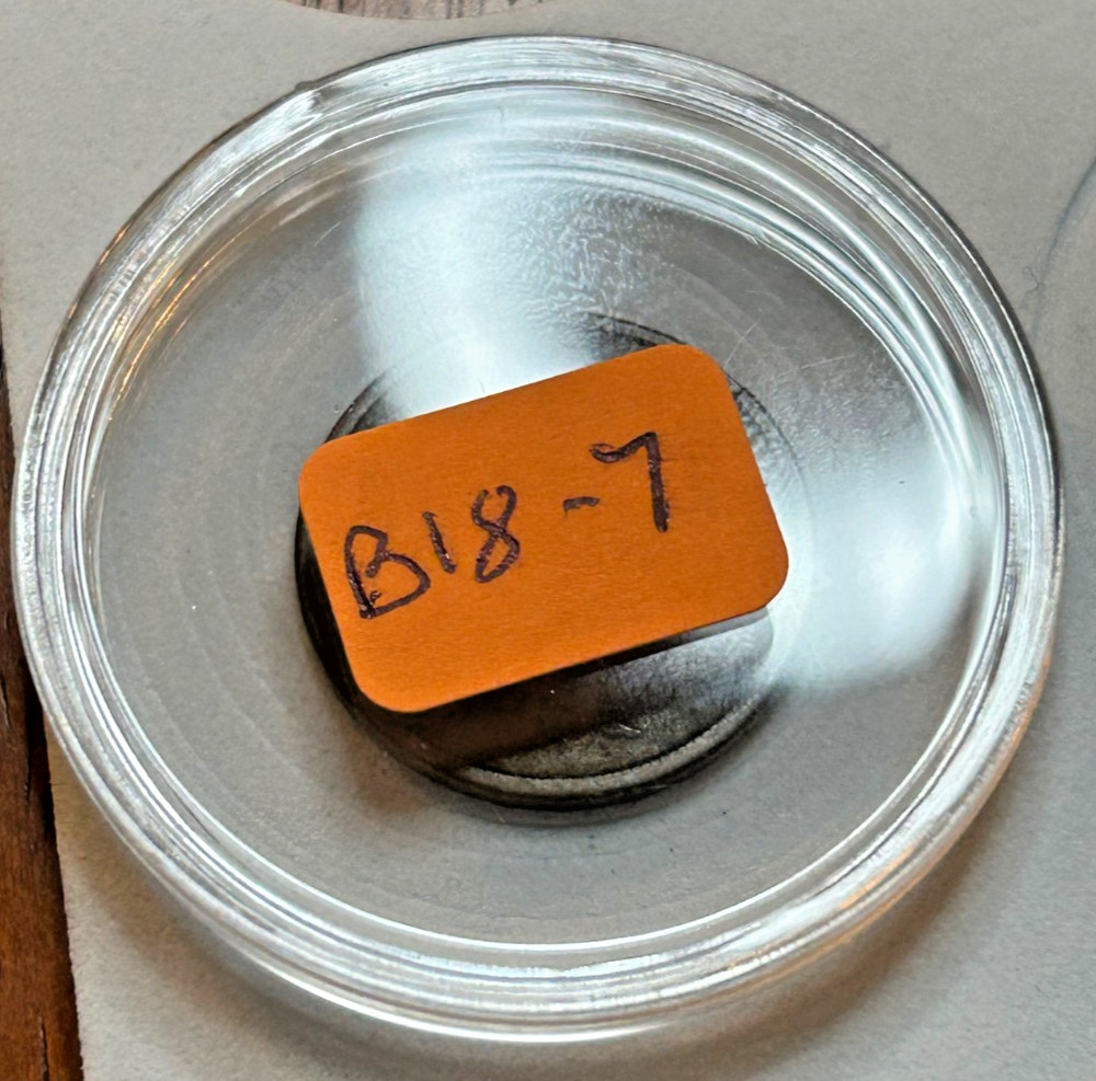 1869 Beautiful Two Cent, Nice Reverse Dark Brown in Clear Plastic Hldr - B18-7