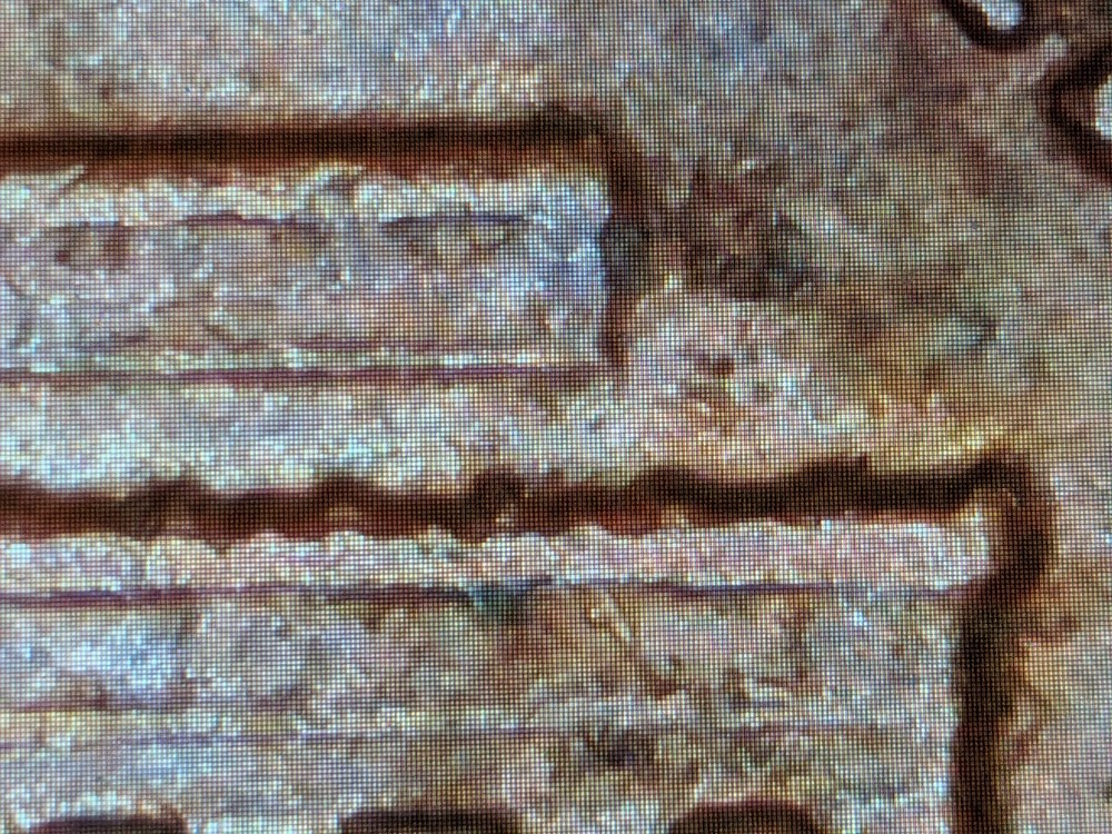 1969 Lincoln Cent 1c BN Floating Roof Error