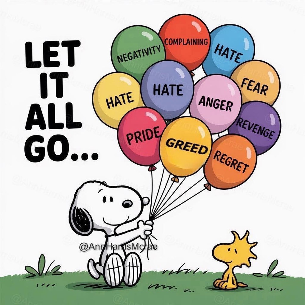 DON'T BOTHER ME! SCRIPT Embroidered Iron On HAT PATCH GAG GIFT PIN UP WOW!!