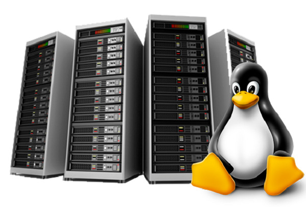 Efficient Web Hosting – 🚀 Unlimited SSD + SSL + Email + 24x7 Help – $14.99/Year