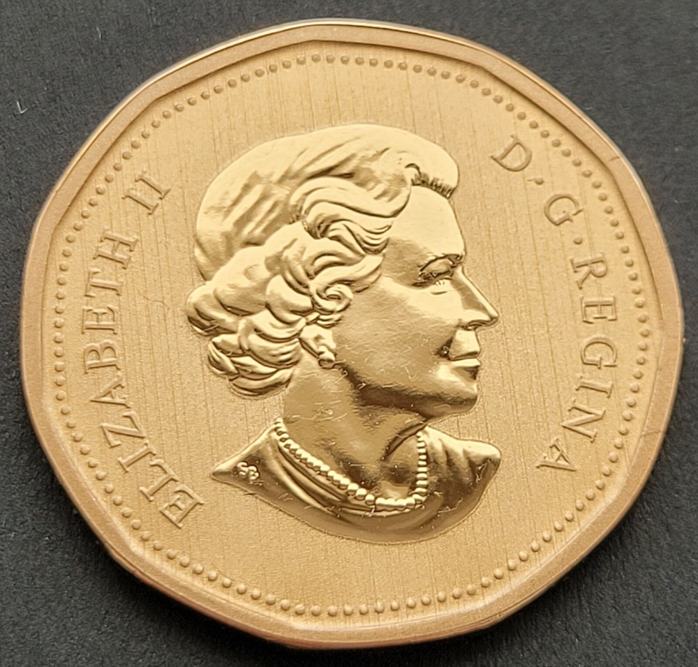 *** CANADA LOONIE 2010 *** SPECIMEN *** NORTHERN HARRIER ***