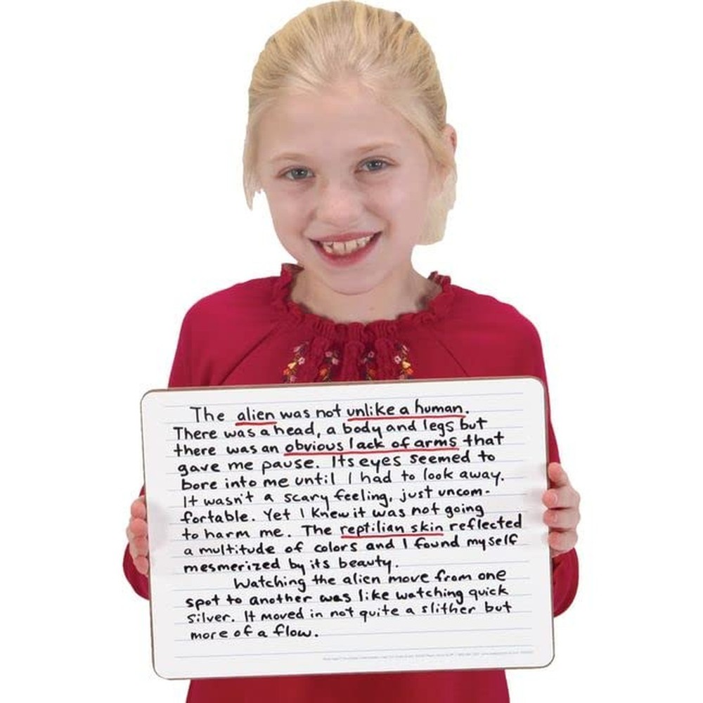 Really Good Stuff Two-Sided Intermediate Lined Write Again Dry Erase Boards