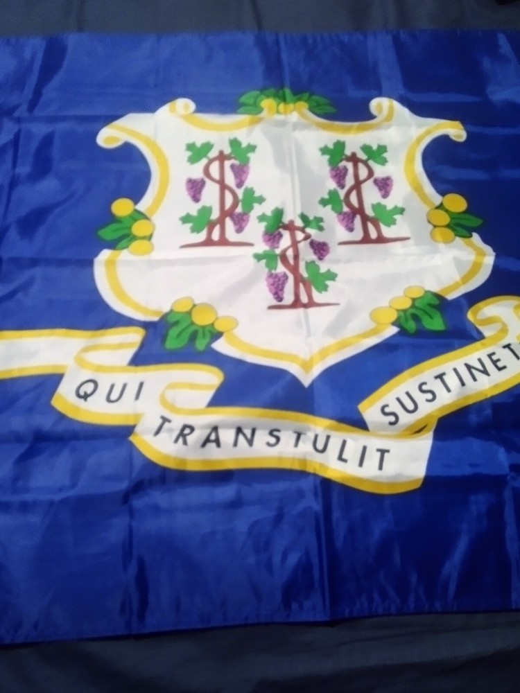 Connecticut State Flag