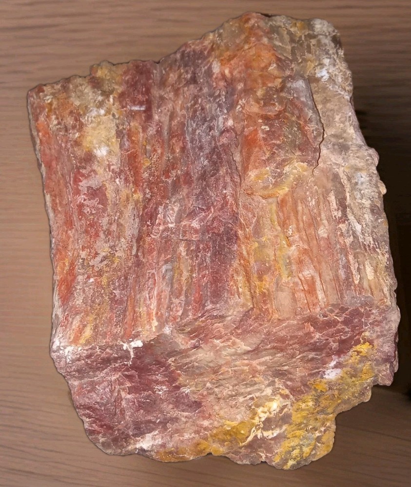Rainbow Petrified Wood Rough AZ 2 lbs