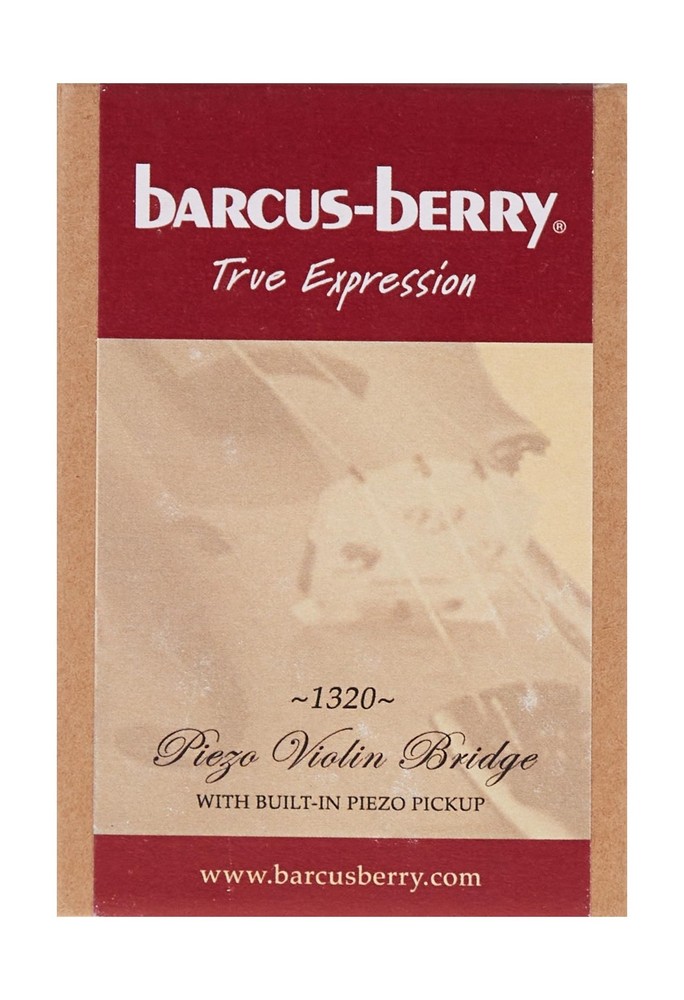 1-String Electric Violin, (1320) Fast Ship