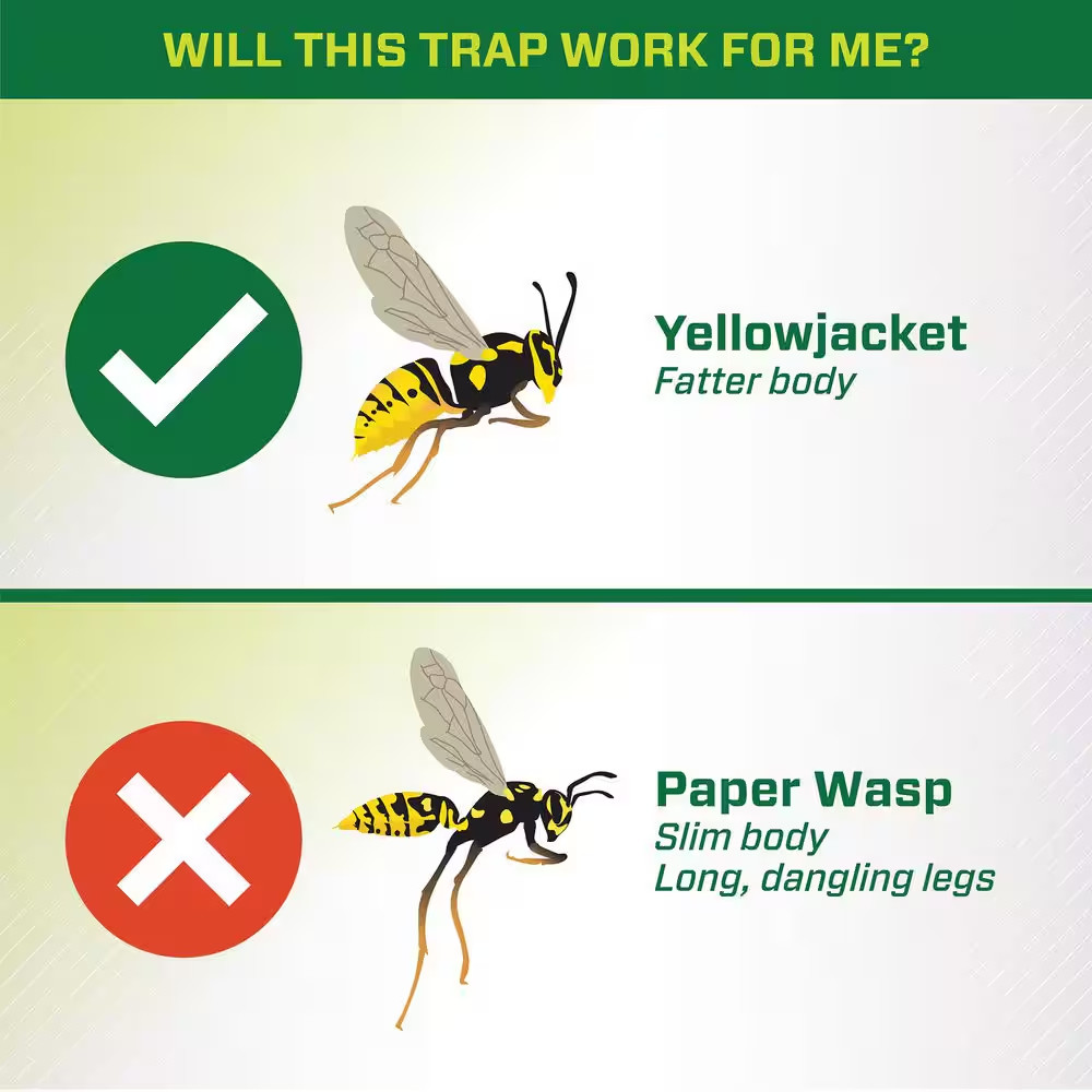 Reusable Yellowjacket Trap