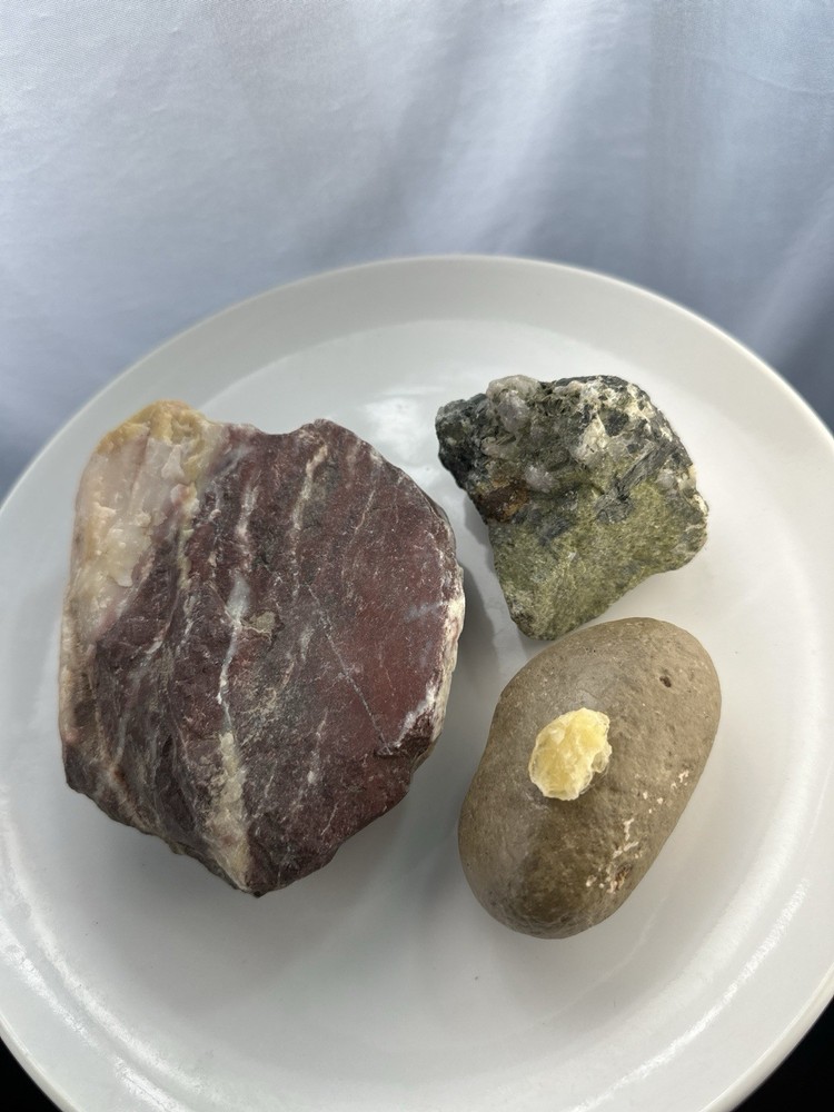 Petrified Steak Dinner