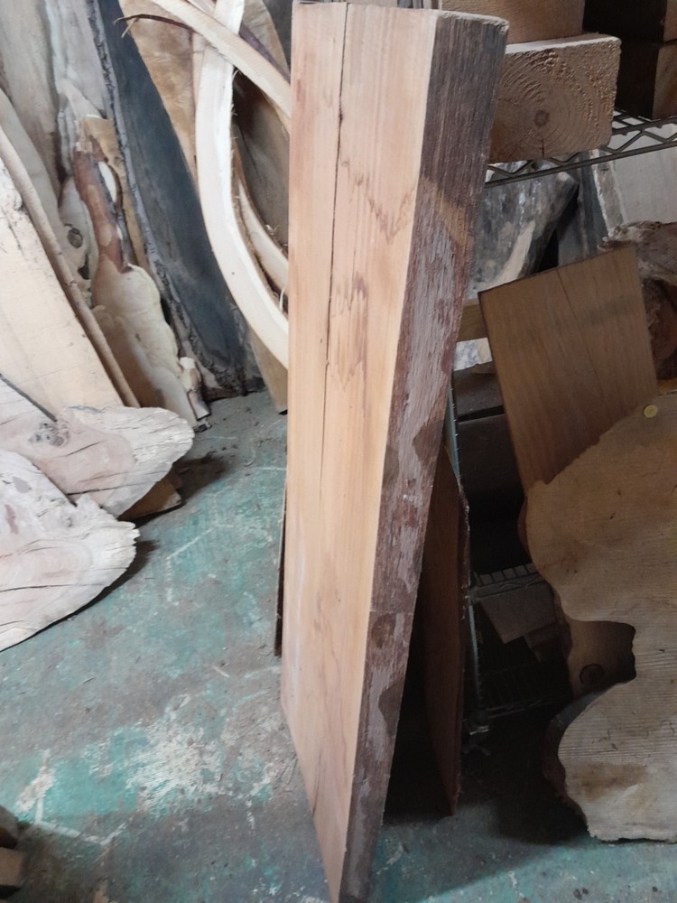 Palm Tree Live Edge Slab