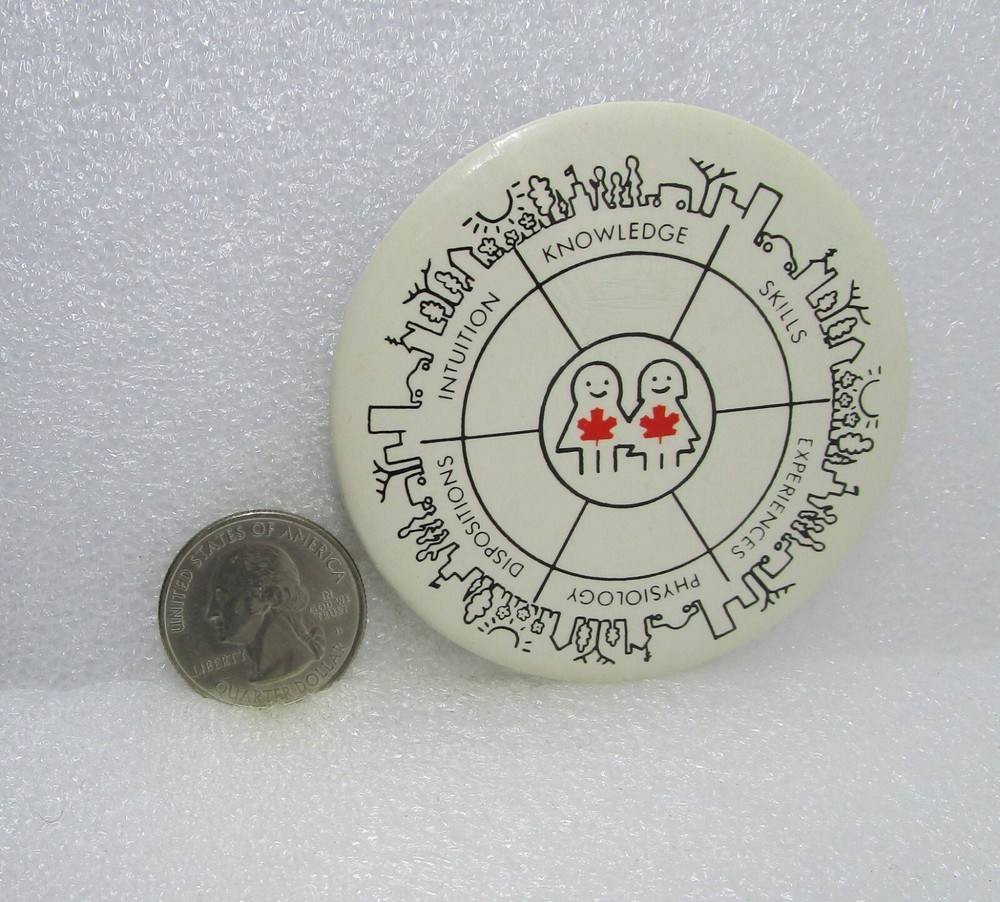Intuition Knowledge Skills Dispositions Physiology Experiences Button Pin