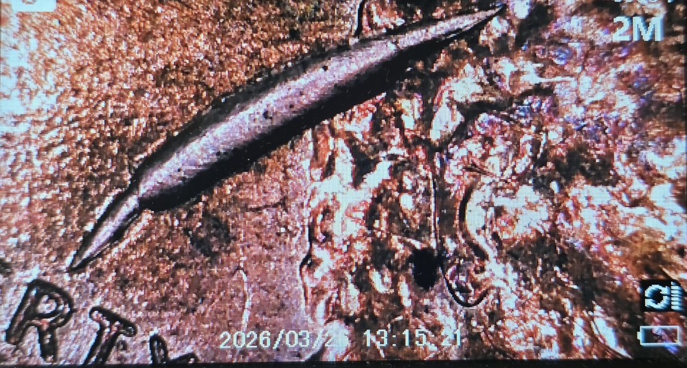2010 Lincoln Shield Cent 💥Large Retained Strike Through Obverse Mint Error💥