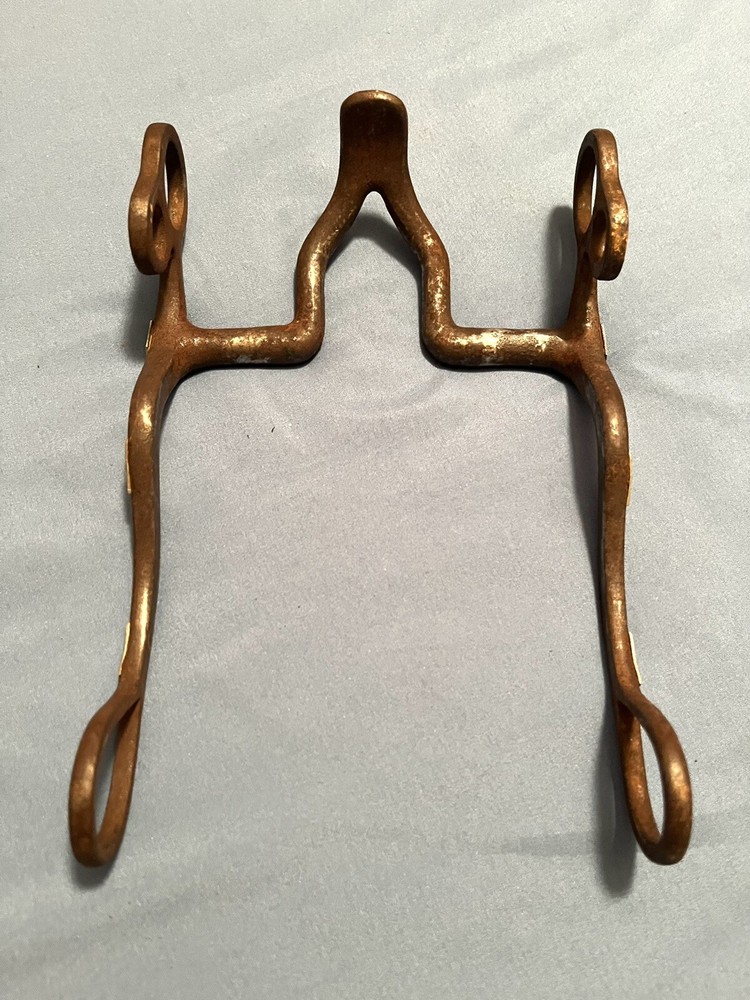 Solid Steel Slant Back Cathedral 5” Western Bit Silver Sided