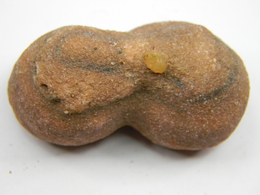 Stromatolite Fossil Morocco Medium 44.14 grams