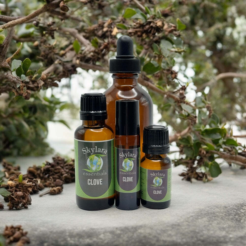 Clove Essential Oil