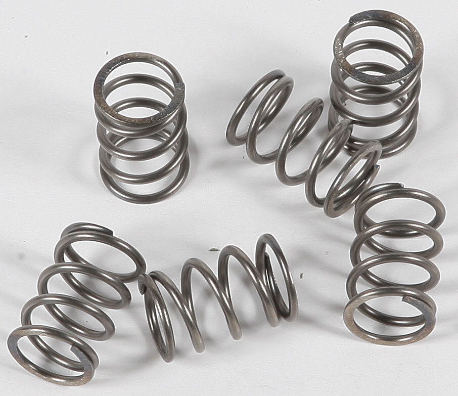 EBC CSK197 Clutch Springs CSK197
