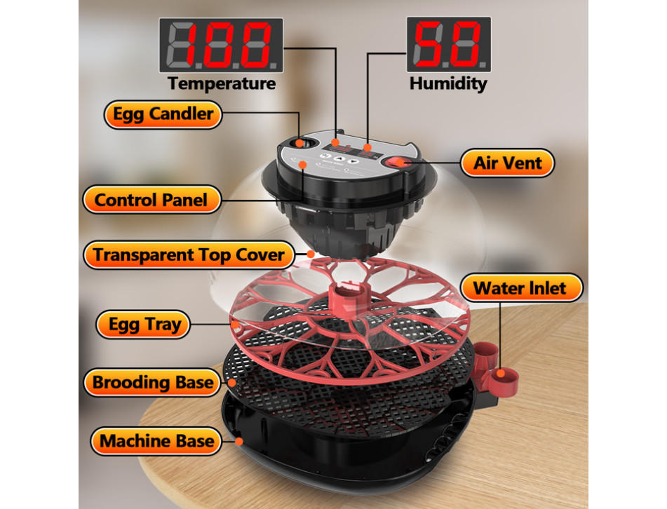 12-Egg Automatic Incubator with Auto Turner & Humidity Control, Poultry Hatching