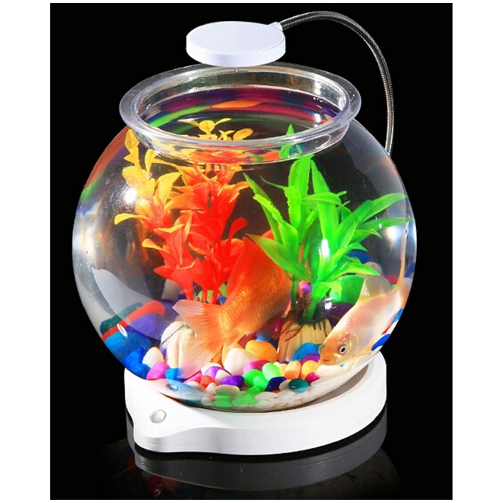 1 Gallon Glass Fish Bowl with Decor, Include Fluorescent Rocks USB bracket light