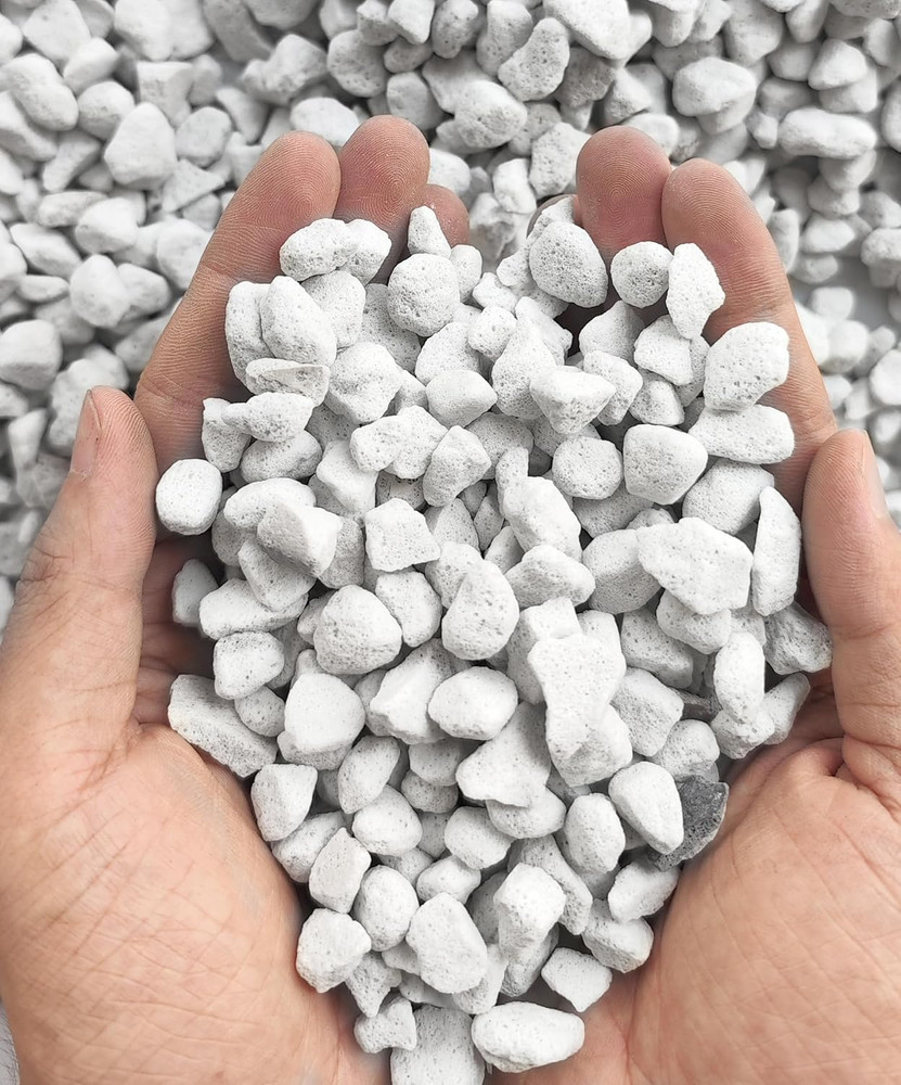 10QT Organic Perlite Horticultural Soil Amendment for Plants and Enhanced Draina
