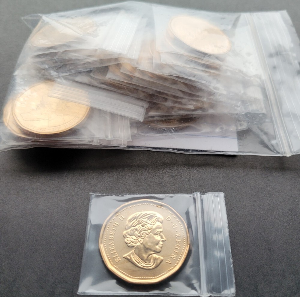 *** CANADA LOONIE 2010 *** NAVY *** FROM MINT ROLL ***