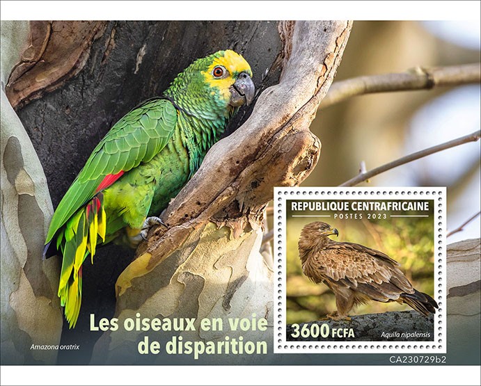 Endangered birds