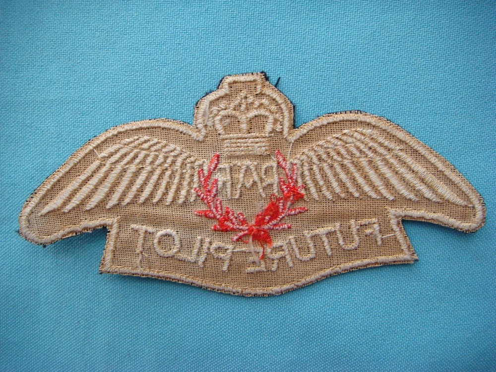 PATCH US ROYAL UK AIR FORCE RAF FUTURE PILOT