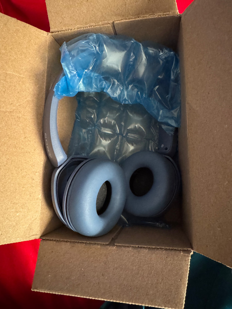 Ear Headset with Microphone, Blue Amazon's Choice