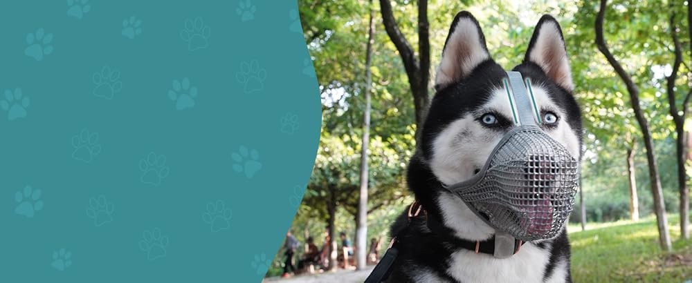 Dog Muzzle, Patented Mesh Muzzles for Small Medium Lar Dogs,