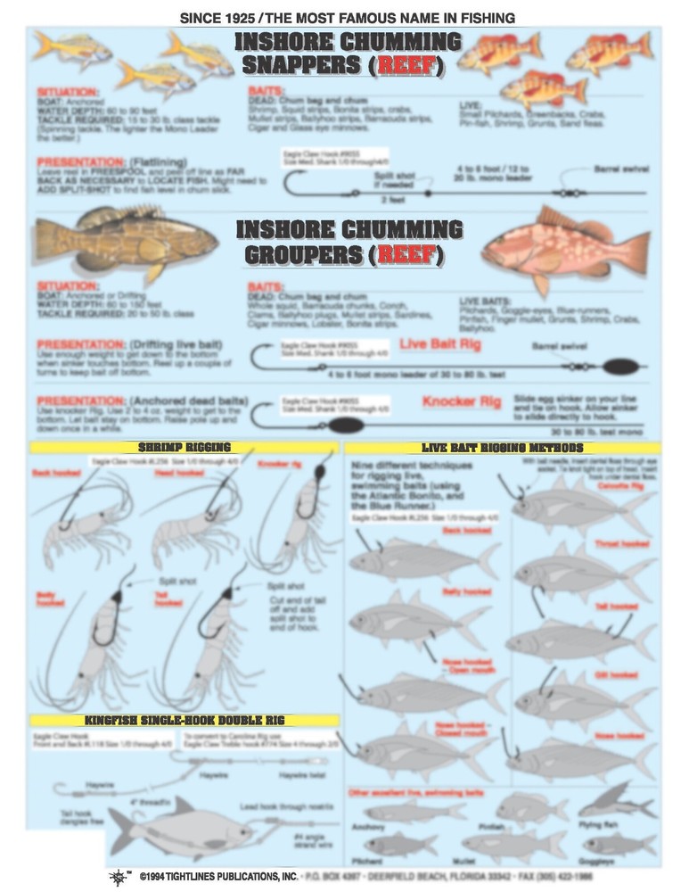 Bait Rigging Guide #1 (Inshore & Offshore) - Waterproof Reference