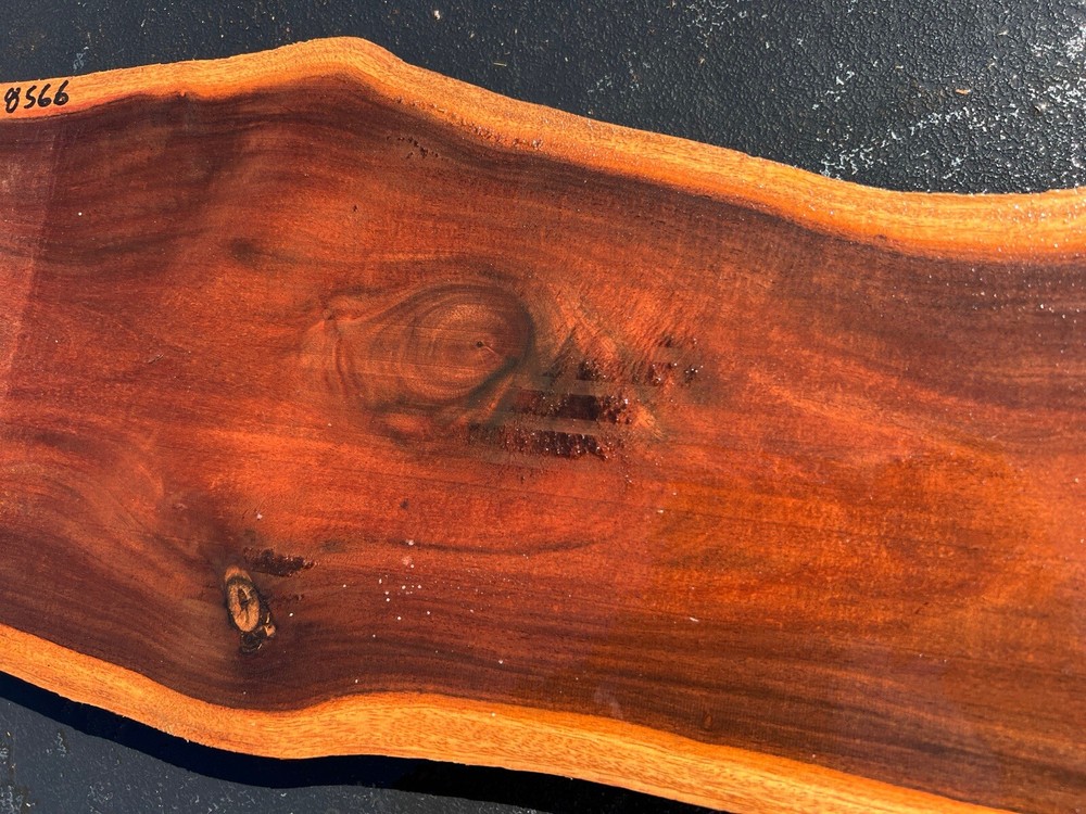 Hawaiian Milo Board #8566