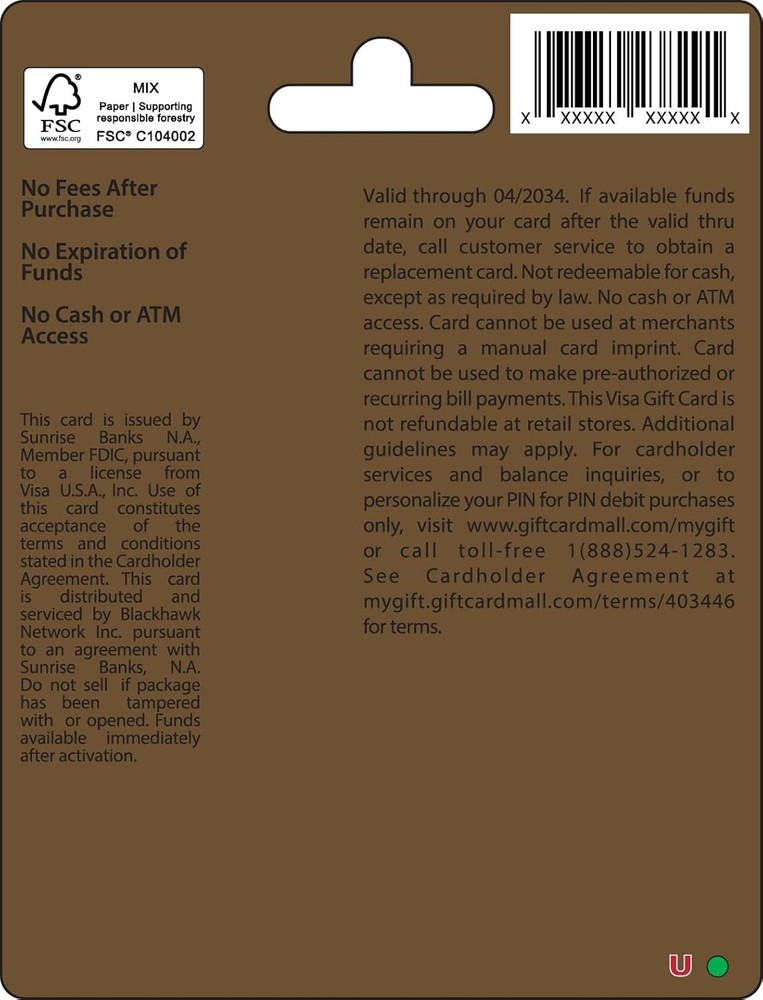 Visa $100 Gift Card (plus $5.95 Purchase Fee)