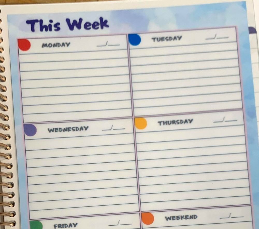 'This Week' Daily Lined Boxes Dashboard Insert 4 use with Erin Condren Planner